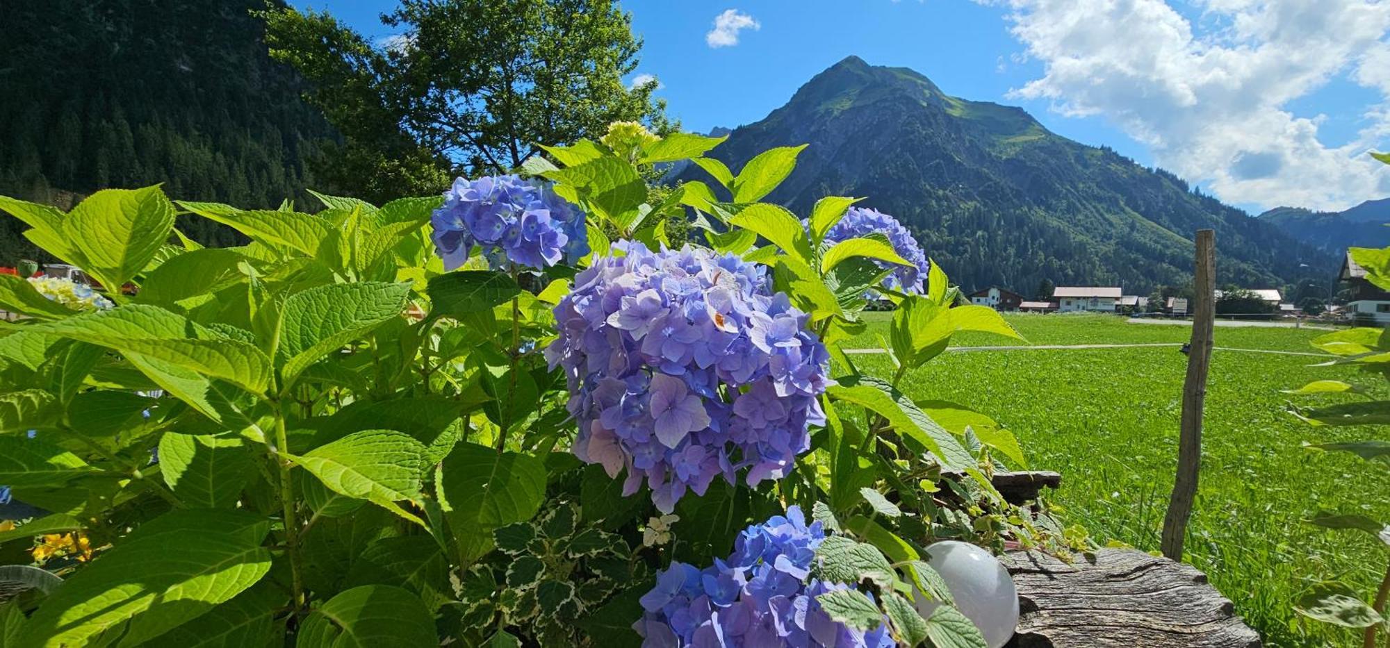 Apartment Zunzer Mittelberg
